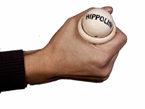 HIPPOLINI-Kugel-Fang-Spiel