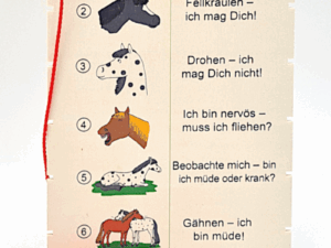 HIPPO-Fädel-lini-Pferdesprache 1