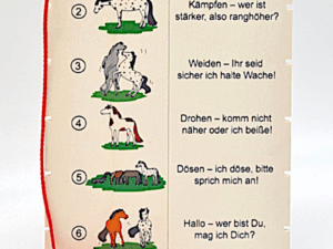 HIPPO-Fädel-lini Pferdesprache 2