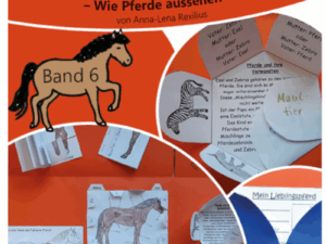 Ideenkiste für das Lapbook - Band 6 - Aussehen / Körperbau