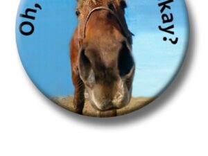 HIPPOLINI Button Runter-gefallen