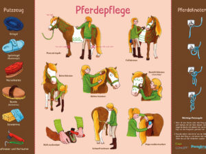 Lehrposter / Pferdepflege