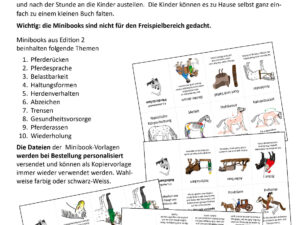 Theorie für kinder im Reitunterricht